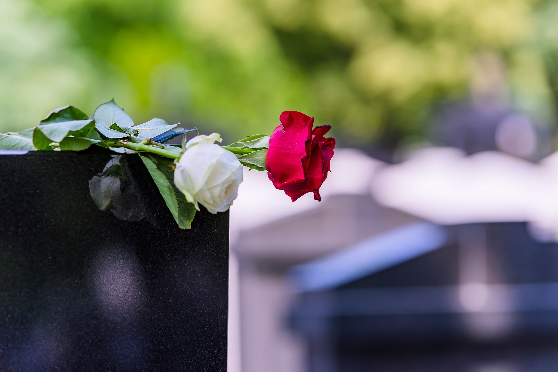 Blume auf einem Grab auf einem Friedhof